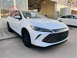 بي واي دي Qin Plus